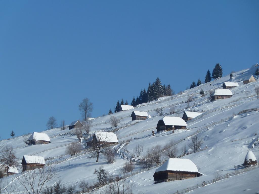 Ranger Chalet Moeciu De Sus Pokój zdjęcie
