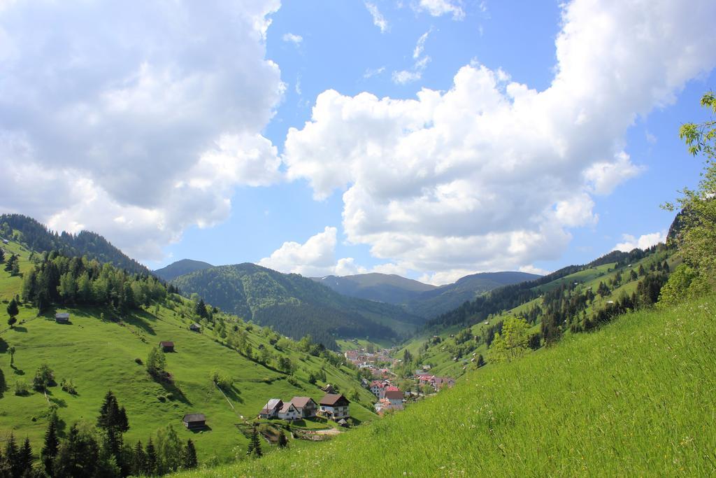 Ranger Chalet Moeciu De Sus Pokój zdjęcie